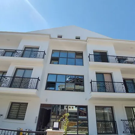 Arti̇m 费特希耶